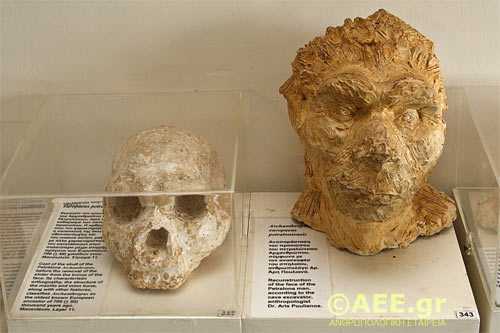 Craniul Petralona
